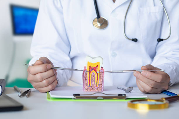 Best Chipped Tooth Repair Near Me  in Seadrift, TX